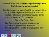 Vidaus transporto organizavimas 13 puslapis