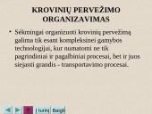 Vidaus transporto organizavimas 15 puslapis