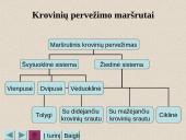 Vidaus transporto organizavimas 19 puslapis