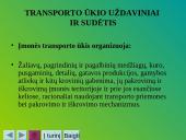 Vidaus transporto organizavimas 3 puslapis