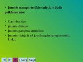 Vidaus transporto organizavimas 5 puslapis