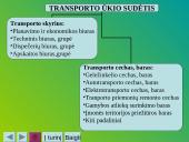Vidaus transporto organizavimas 7 puslapis