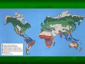 Vidutinių platumų miškai 3 puslapis