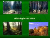 Vidutinių platumų miškai 4 puslapis