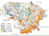 Vidutinių platumų miškai 8 puslapis