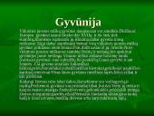 Vidutinių platumų miškai 10 puslapis