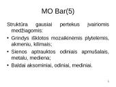Viešbutis: "The Landmark Mandarin Oriental". Viešbučio baras: "MO" 13 puslapis