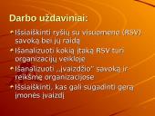 Viešieji ryšiai (ryšiai su visuomene) 3 puslapis