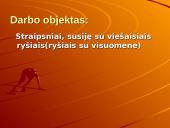 Viešieji ryšiai (ryšiai su visuomene) 4 puslapis