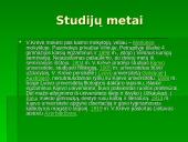 Vinco Krėvės-Mickevičiaus biografija, mokslinė bei visuomeninė veiklos, kūryba 3 puslapis