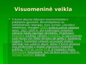 Vinco Krėvės-Mickevičiaus biografija, mokslinė bei visuomeninė veiklos, kūryba 5 puslapis