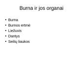 Virškinimo organų sistema ir organų sandaros 3 puslapis