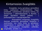 Visata ir galaktika 14 puslapis