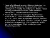 Visatos kilmė ir evoliucija 10 puslapis