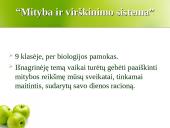 Visuomenės sveiko gyvenimo filosofija 13 puslapis