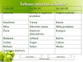 Visuomenės sveiko gyvenimo filosofija 10 puslapis