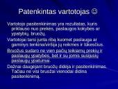 Visuotinės kokybės vadyba ir jos komponentai 11 puslapis