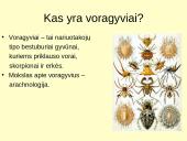 Voragyvių aprašymas 2 puslapis