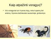 Voragyvių aprašymas 3 puslapis