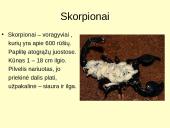 Voragyvių aprašymas 5 puslapis