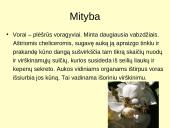 Voragyvių aprašymas 7 puslapis