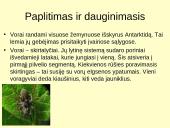 Voragyvių aprašymas 8 puslapis