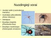 Voragyvių aprašymas 10 puslapis