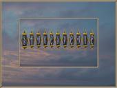 Playwright William Shakespeare