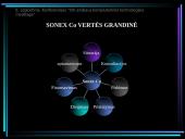 XXI amžiaus kompiuterinių technologijų naujovės 10 puslapis