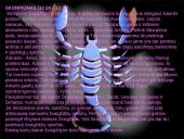 Zodiako ženklai ir žvaigždynai 17 puslapis