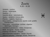 12 Zodiako ženklų 13 puslapis