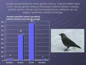 Žiemojantys paukščiai įvairiuose Molėtų miesto bei rajono biotopuose 16 puslapis