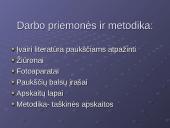 Žiemojantys paukščiai įvairiuose Molėtų miesto bei rajono biotopuose 2 puslapis