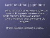 Žiemojantys paukščiai įvairiuose Molėtų miesto bei rajono biotopuose 3 puslapis