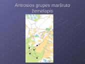 Žiemojantys paukščiai įvairiuose Molėtų miesto bei rajono biotopuose 5 puslapis