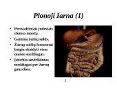 Žmogaus virškinimo sistema 11 puslapis