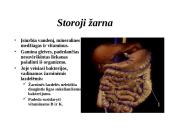 Žmogaus virškinimo sistema 13 puslapis