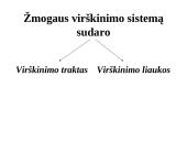 Žmogaus virškinimo sistema 3 puslapis