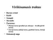 Žmogaus virškinimo sistema 4 puslapis