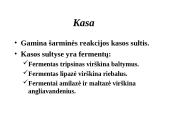 Žmogaus virškinimo sistema 9 puslapis