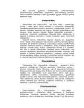 Akių ligos ir profilaktika 4 puslapis