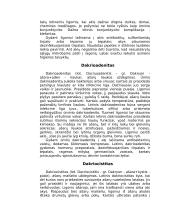 Akių ligos ir profilaktika 6 puslapis