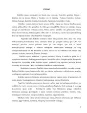 Gamtinės aplinkos rekreacija Rokiškio rajone 3 puslapis