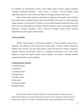 Gamtinės aplinkos rekreacija Rokiškio rajone 9 puslapis