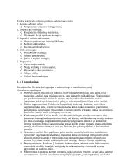 Įmonės analizė: perdraudimo kompanija "Gen Re" 6 puslapis