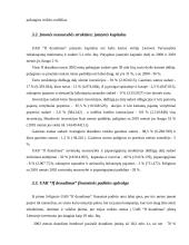 Įmonės analizė: UAB "If draudimas" 12 puslapis