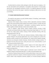 Įmonės analizė: UAB "If draudimas" 16 puslapis