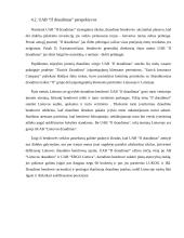 Įmonės analizė: UAB "If draudimas" 19 puslapis