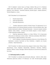 Įmonės analizė: UAB "If draudimas" 4 puslapis