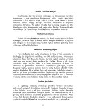 Laukinių gyvulių evoliucija 11 puslapis